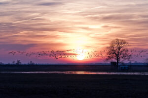 Sonnenuntergang im Nationalpark Vorpommersche Boddenlandschaft